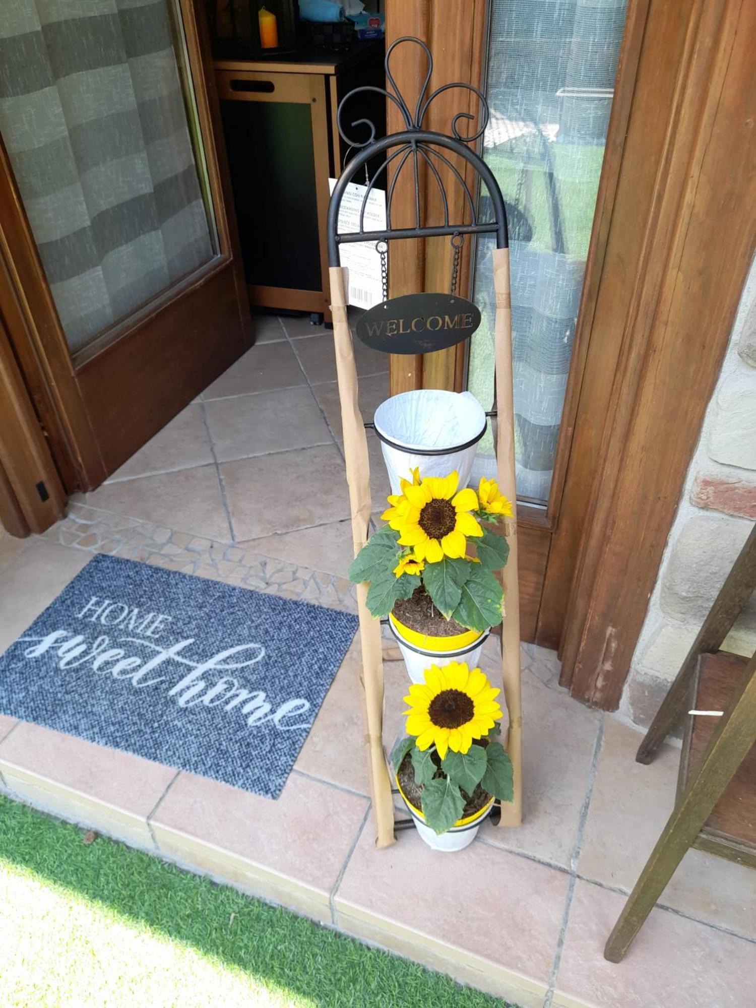 La Taverna Da Irene Roe Dış mekan fotoğraf